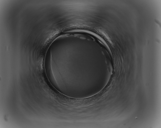 X0000095540023200712141534