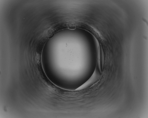 X0000095540025200712141534