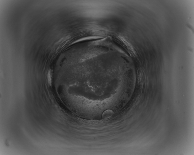 X0000095540026200712141534