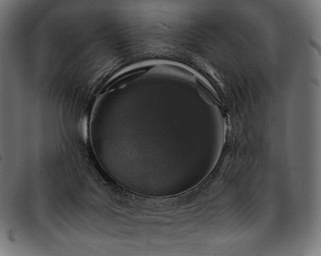 X0000095540027200712141534