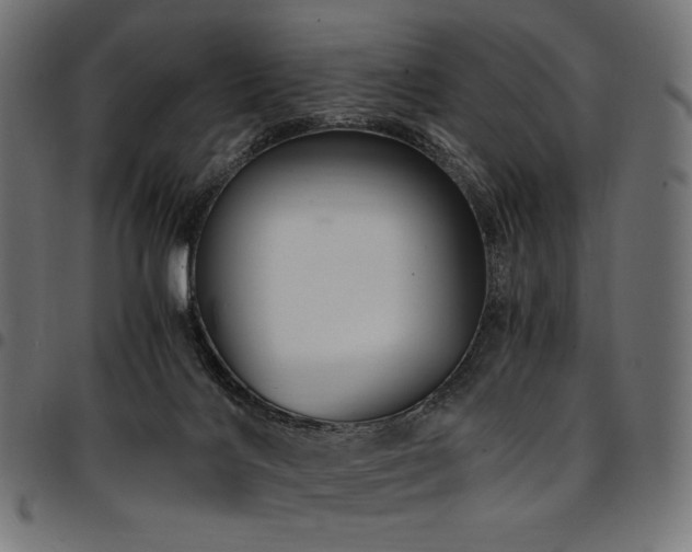 X0000095540028200712141534