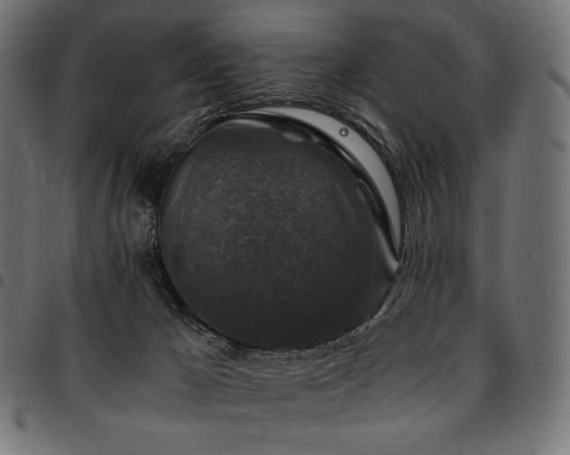 X0000095540029200712141534