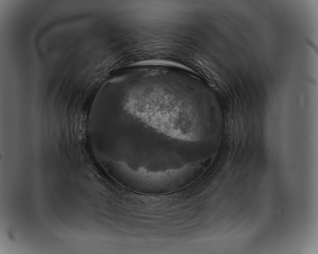 X0000095540030200712141534