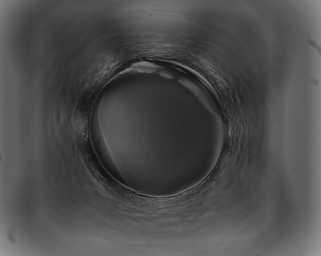 X0000095540031200712141534