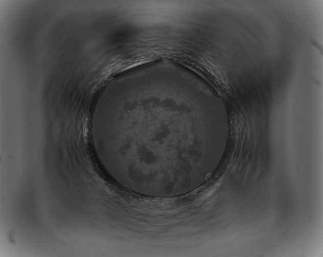 X0000095540032200712141534