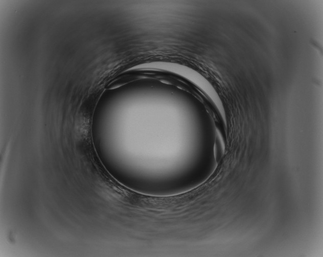 X0000095540033200712141534