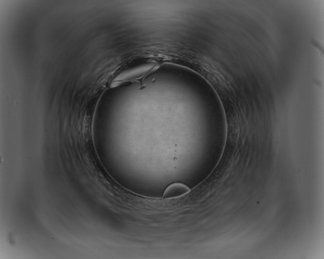 X0000095540034200712141534