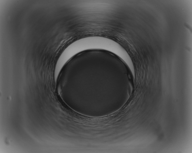 X0000095540035200712141534