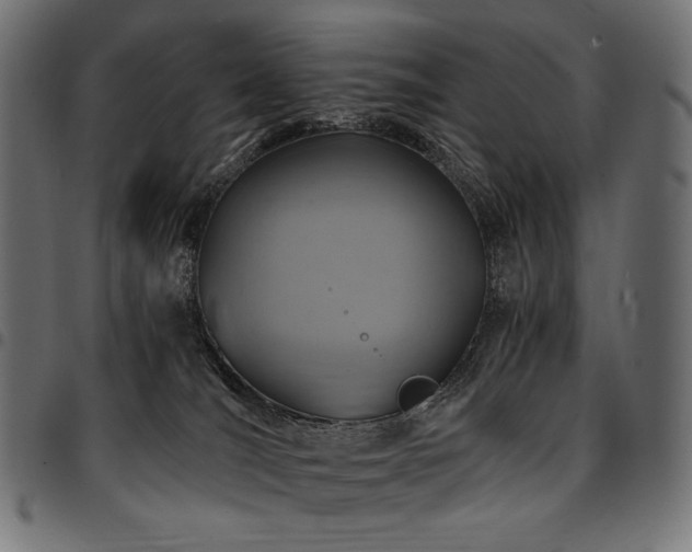 X0000095540036200712141534