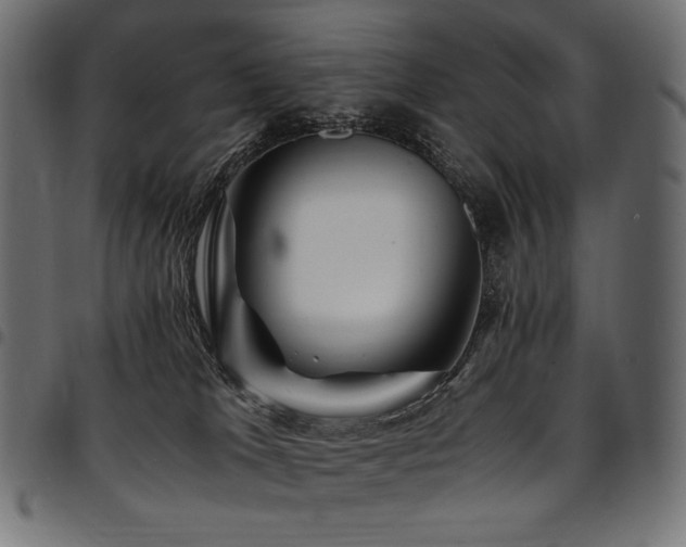 X0000095540037200712141534