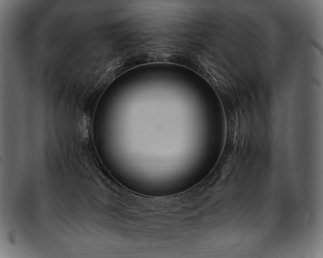 X0000095540038200712141534