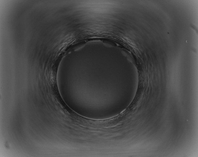 X0000095540039200712141534