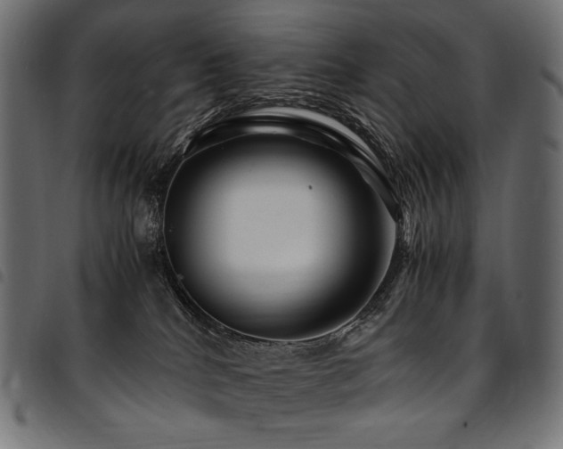 X0000095540040200712141534