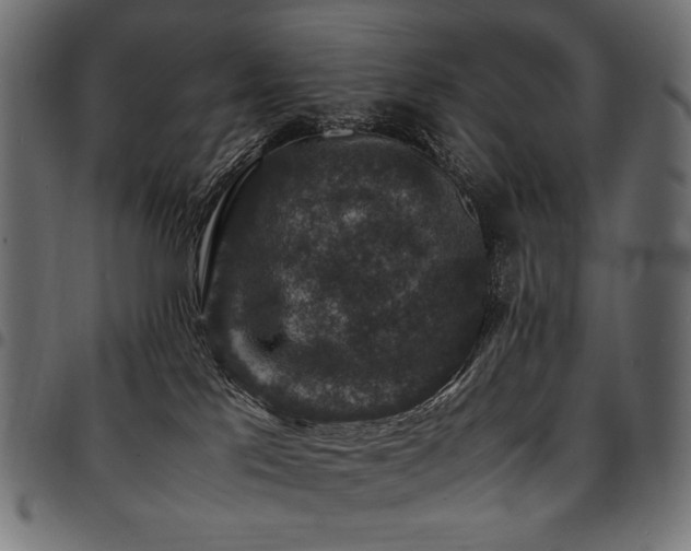 X0000095540041200712141534