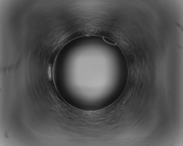 X0000095540042200712141534