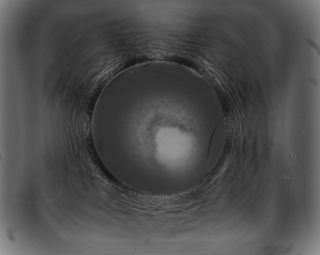 X0000095540043200712141534