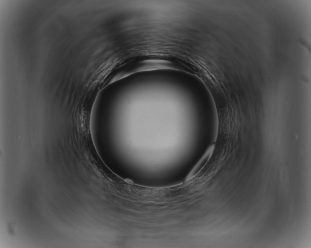 X0000095540044200712141534