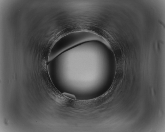 X0000095540045200712141534