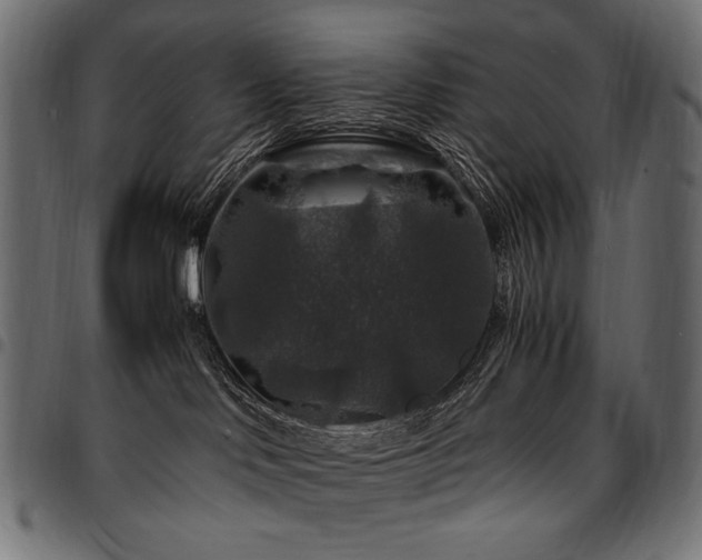 X0000095540046200712141534