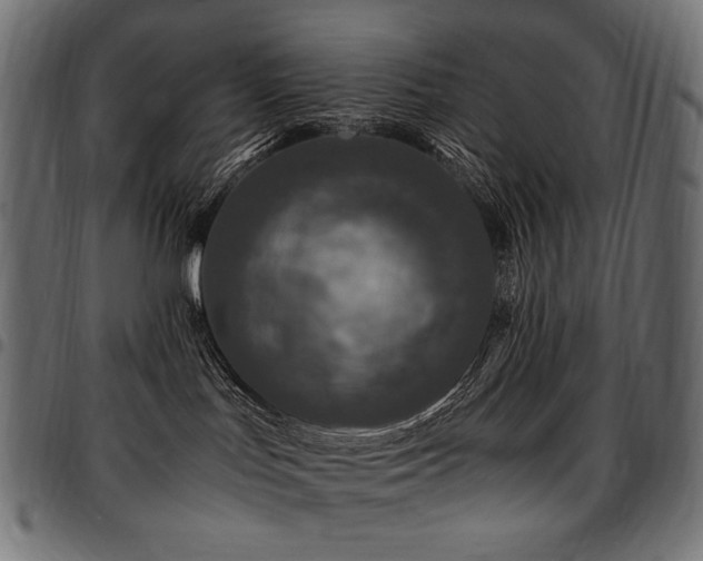 X0000095540047200712141534