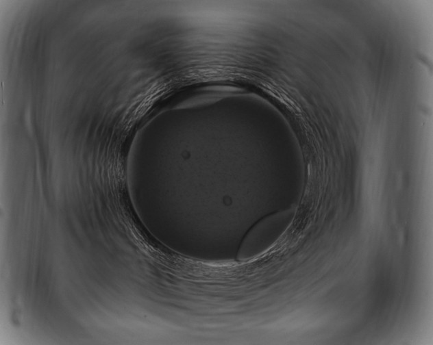 X0000095540048200712141534