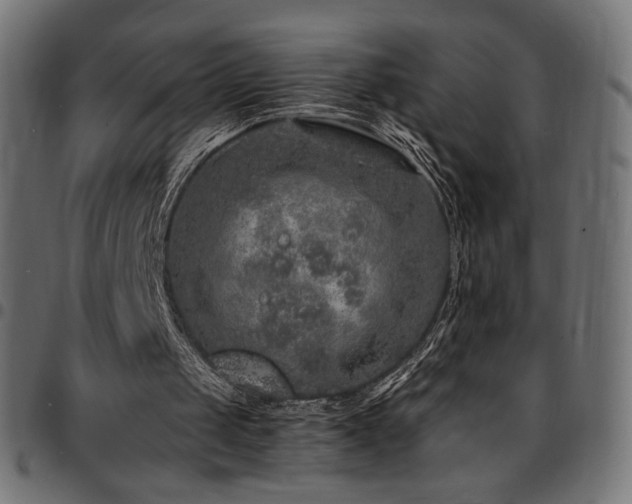 X0000095540049200712141533