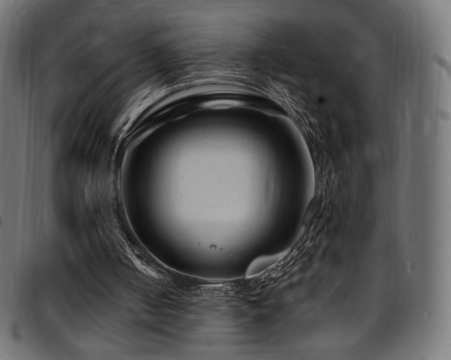 X0000095540050200712141533