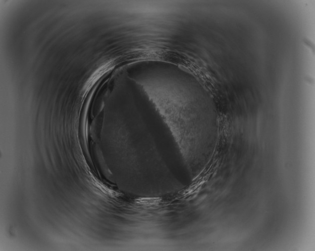 X0000095540051200712141533