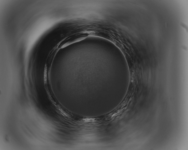 X0000095540052200712141533