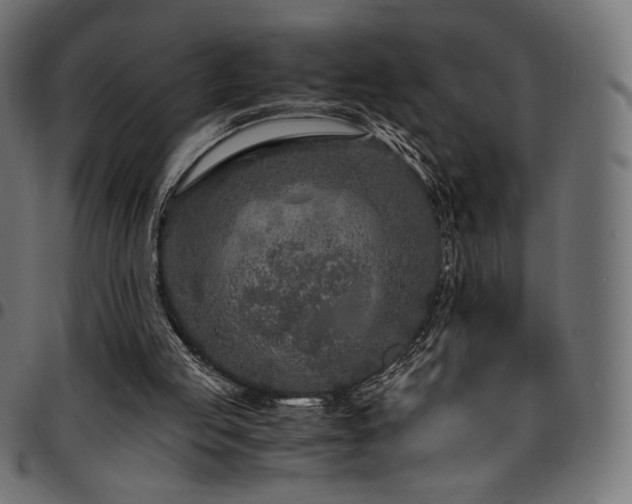 X0000095540053200712141533