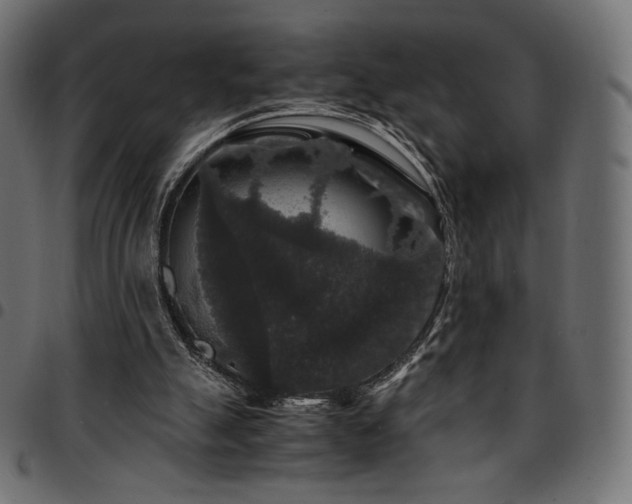 X0000095540055200712141533