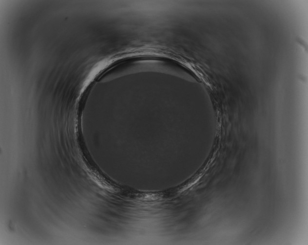 X0000095540056200712141533