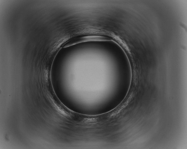 X0000095540057200712141533