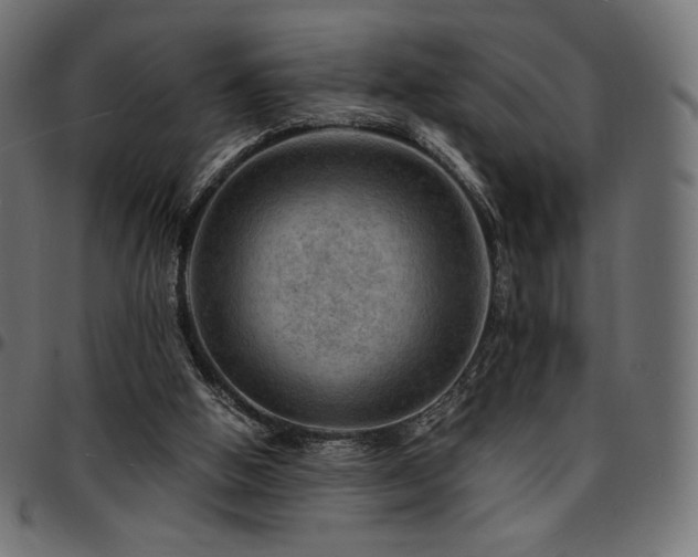 X0000095540058200712141533