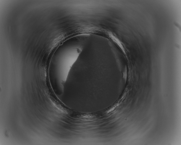 X0000095540059200712141533