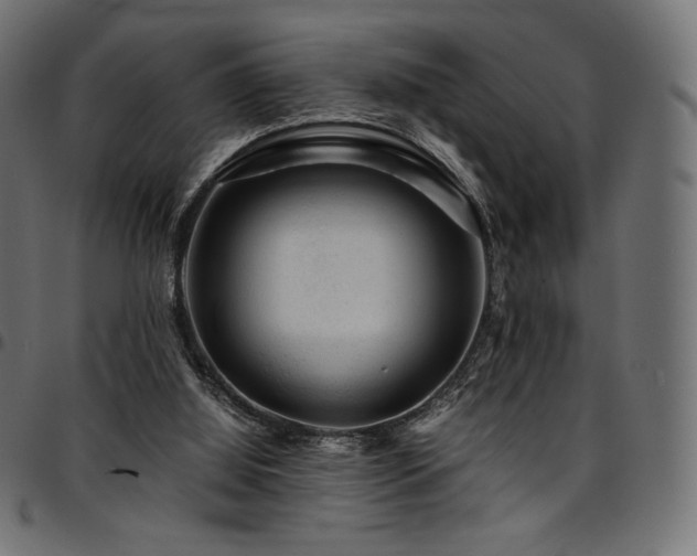 X0000095540060200712141533