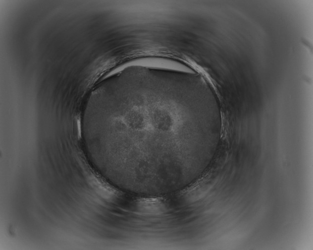 X0000095540061200712141533