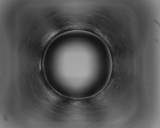 X0000095540062200712141533