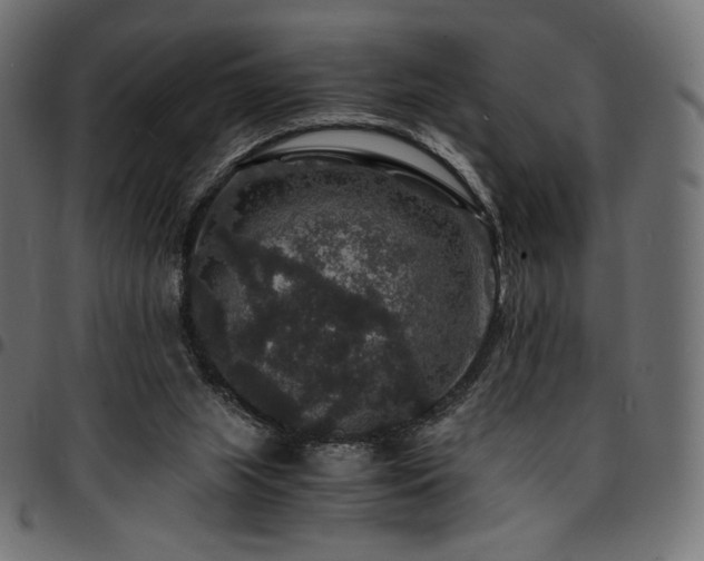 X0000095540063200712141533