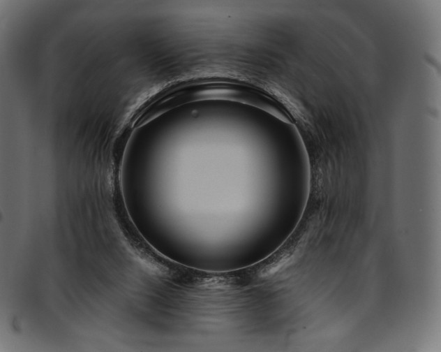 X0000095540064200712141534