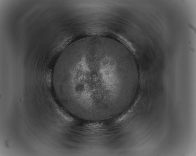 X0000095540065200712141534