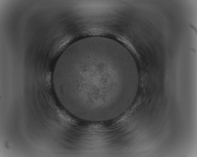 X0000095540066200712141534