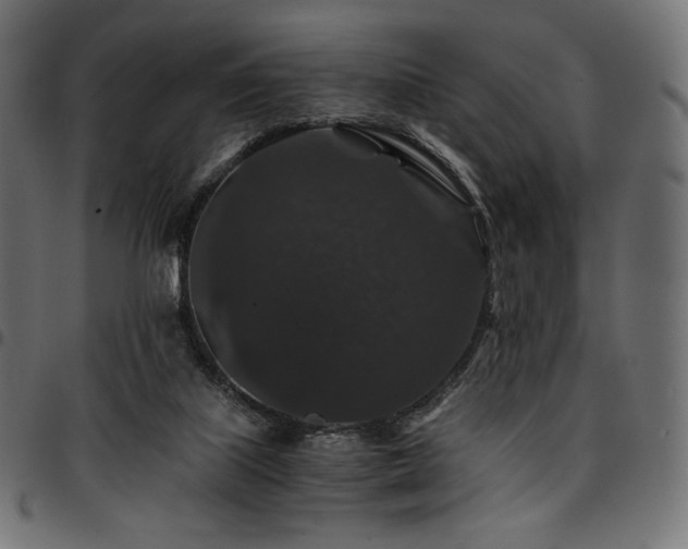 X0000095540067200712141534