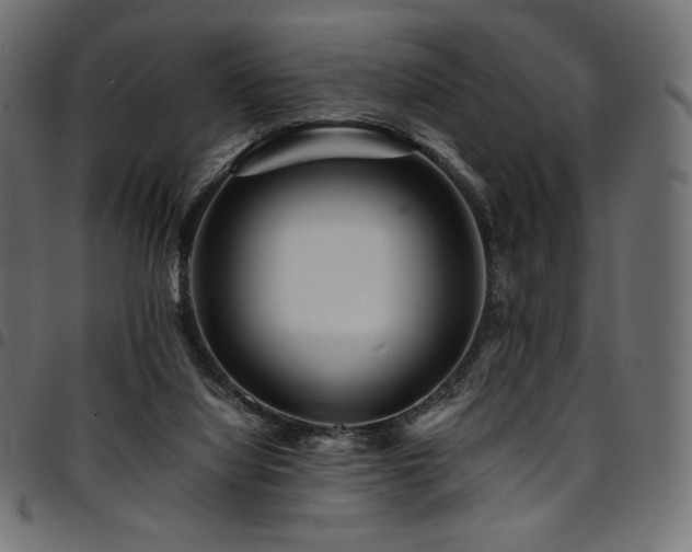 X0000095540068200712141534