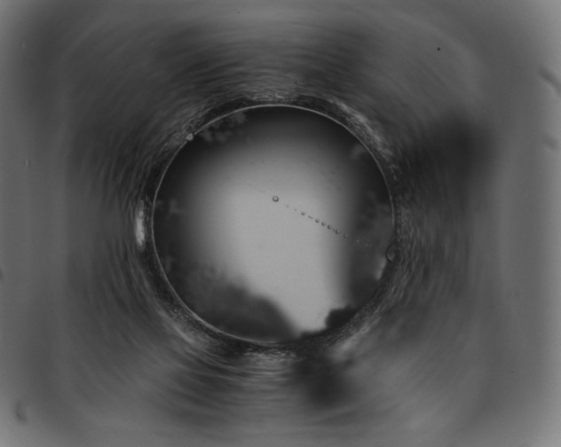 X0000095540069200712141534