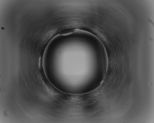 X0000095540070200712141534