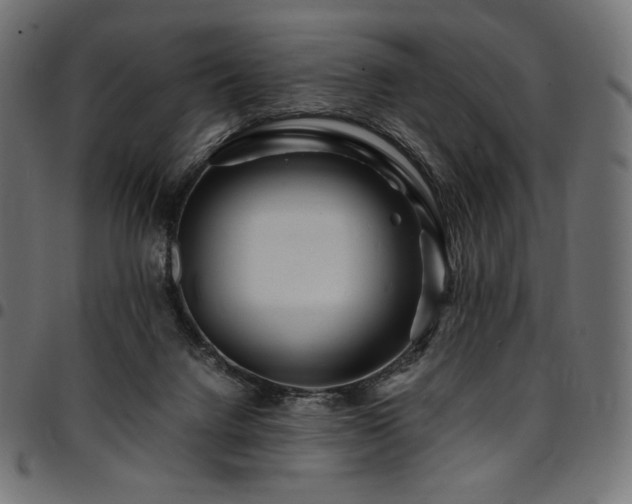 X0000095540072200712141534