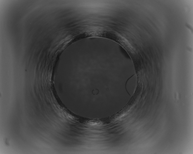 X0000095540073200712141534