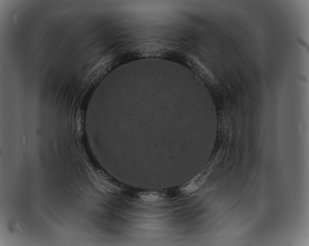 X0000095540074200712141534