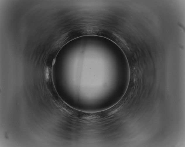 X0000095540075200712141534